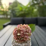 بيت للعطل Casa Hortensia