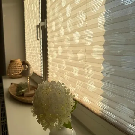 Dom wakacyjny Casa Hortensia Ettenheim